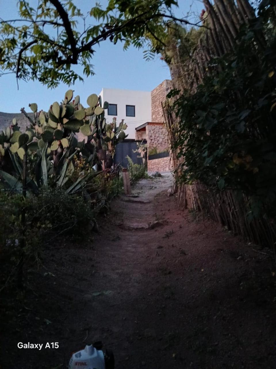 Ventana Al Desierto Konuk evi Catorce Dış mekan fotoğraf